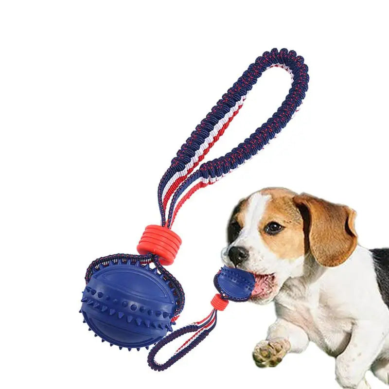 Haustier Hund Spielzeug Reifen Ball Gurt Elastische Schnur Biss-resistente Haustiere Produkte